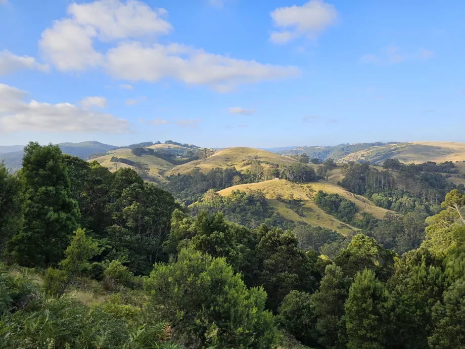 Parque Nacional Great Otway