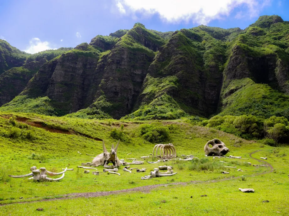 Rancho Kualoa
