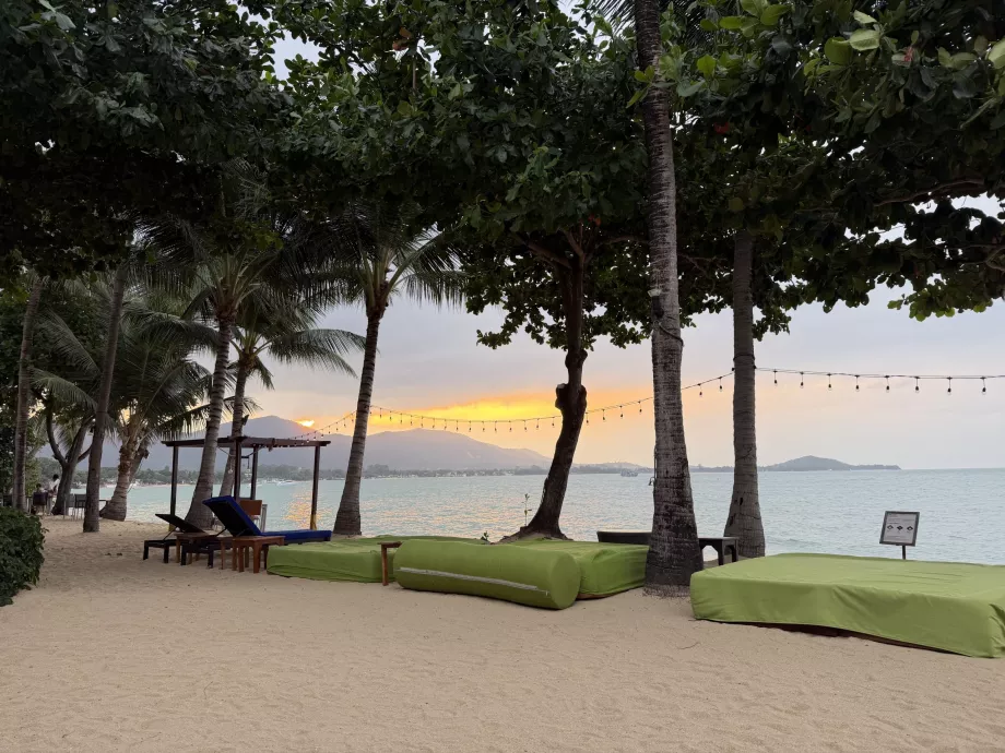 Praia do hotel com espreguiçadeiras ao pôr do sol