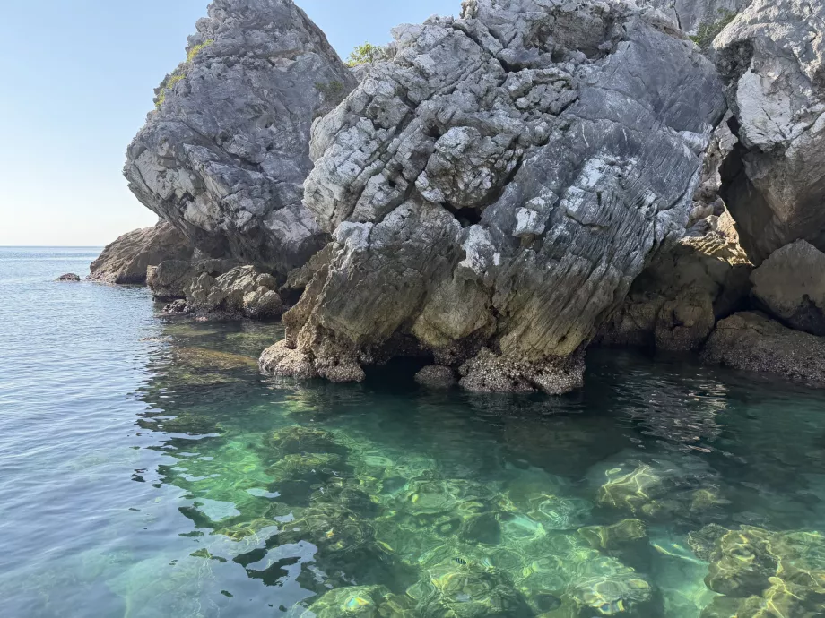 Local de mergulho com snorkel