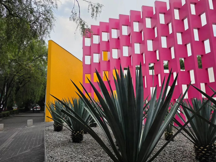 Parede cor-de-rosa