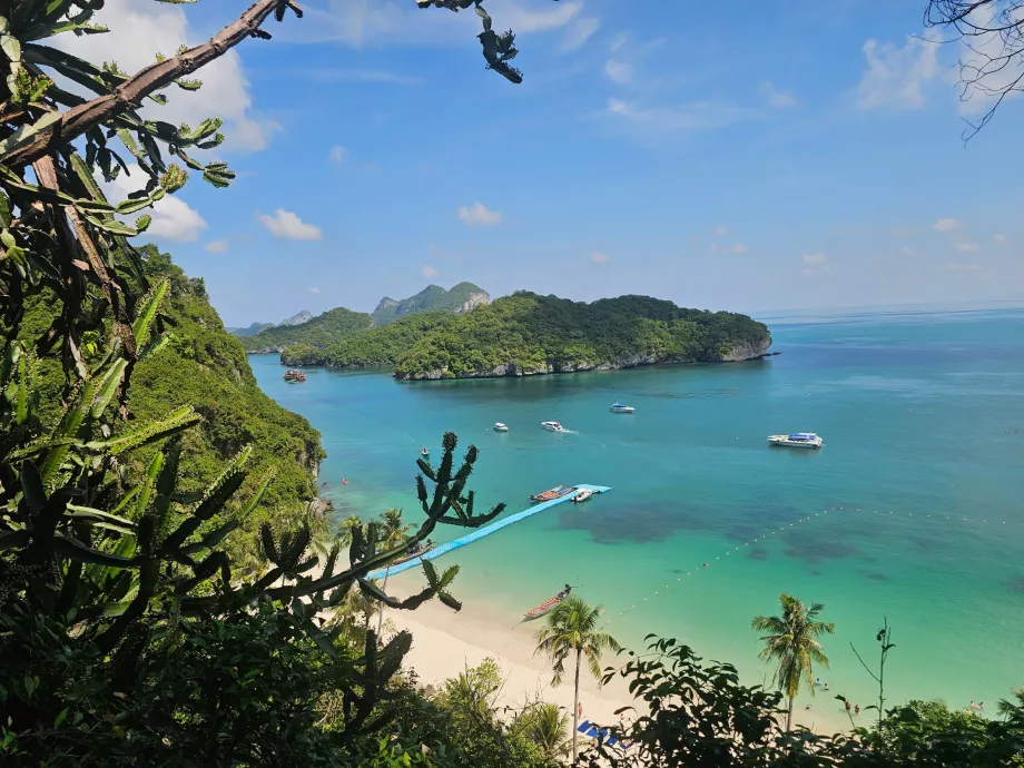 Trilho para o miradouro mais alto