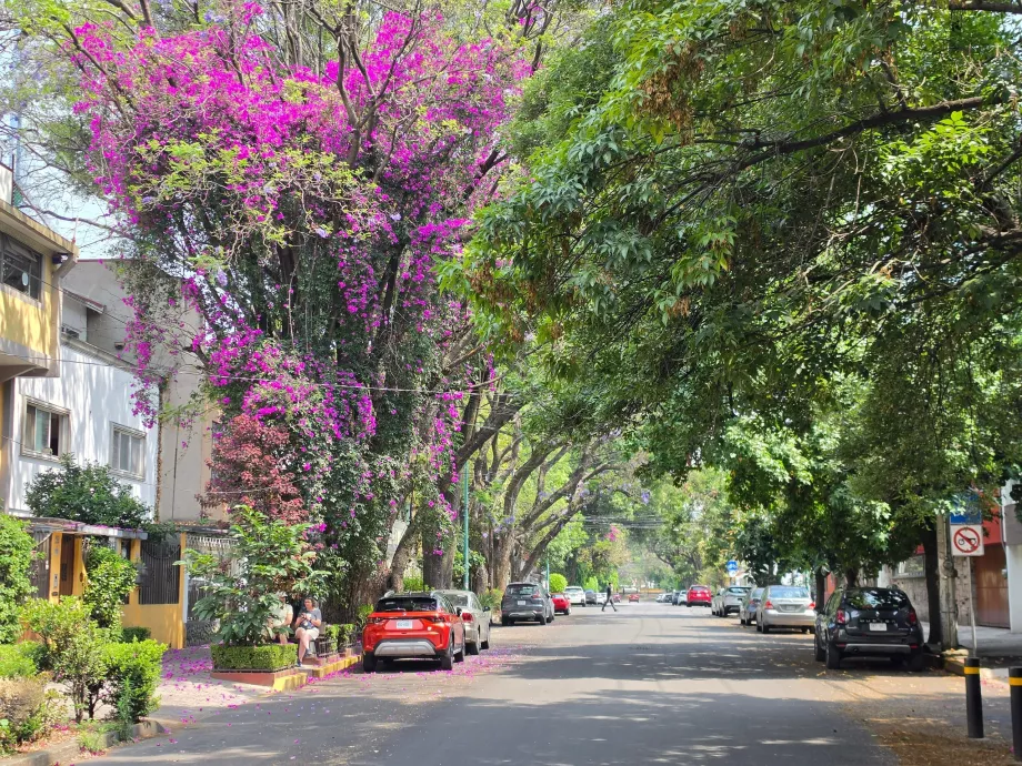 Distrito de Coyoacán