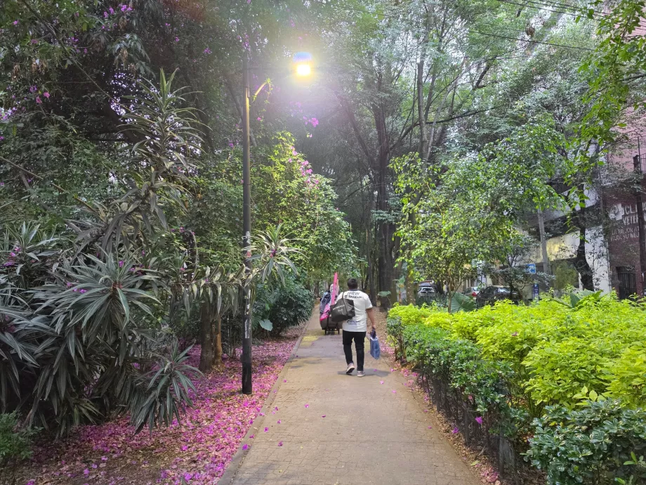 Bairro de Condesa