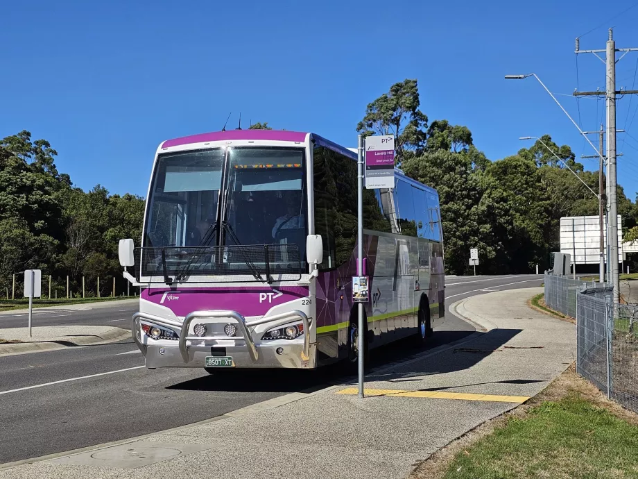Autocarro V/Linha