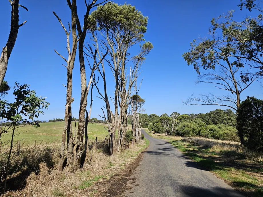 Parque Nacional Great Otway