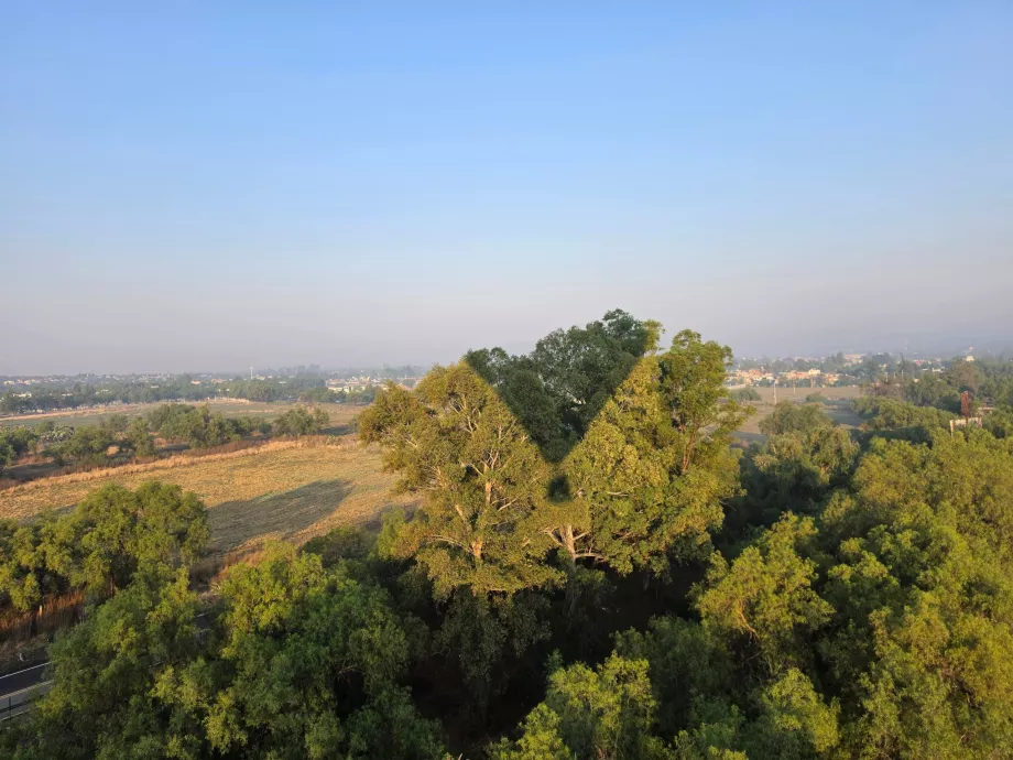 Voo sobre as copas das árvores