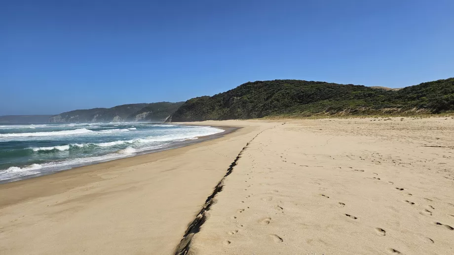 Johanna Beach