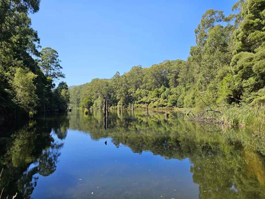 Lago Elizabeth
