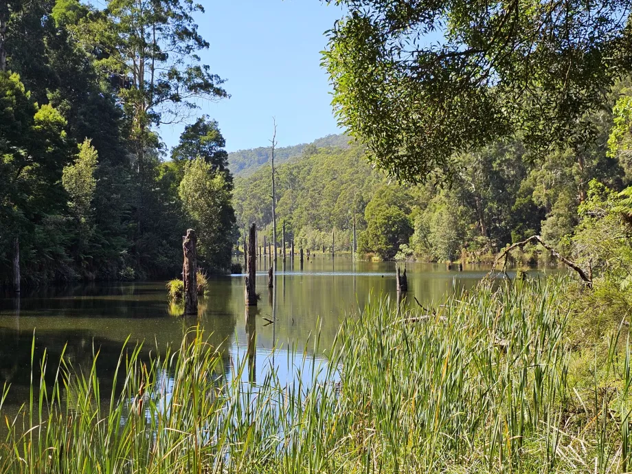 Lago Elizabeth