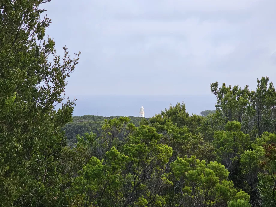 Uma das poucas vistas do farol a partir do Great Ocean Walk