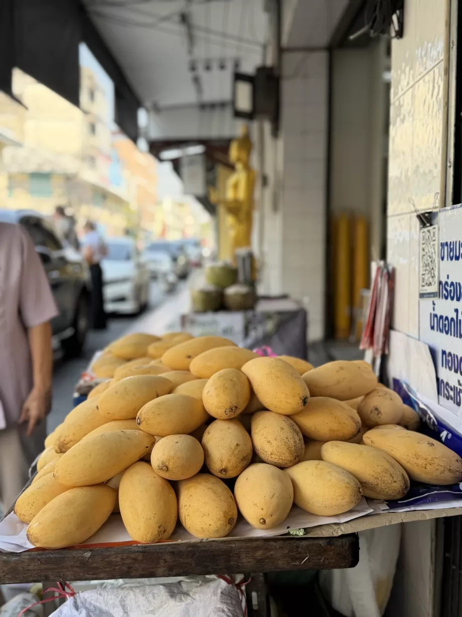 K. Arroz pegajoso Panich - manga