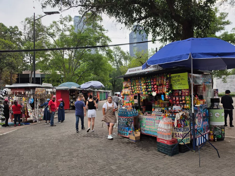 Bosque de Chapultepec, bancas