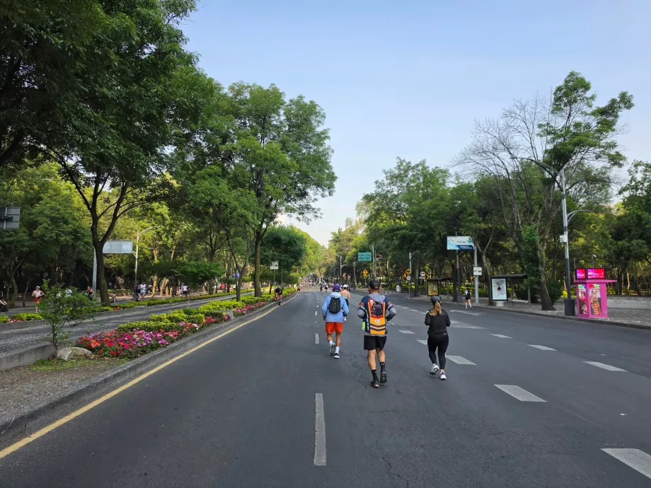 Uma corrida de domingo de manhã na Cidade do México