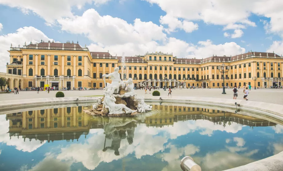 Viena