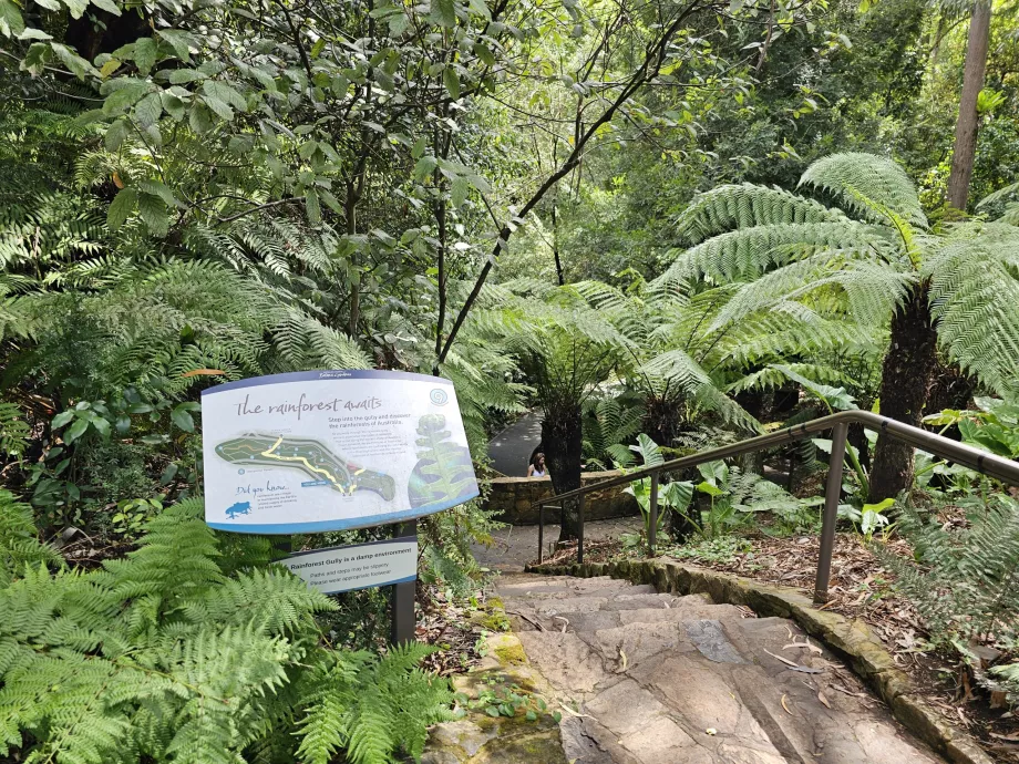 Jardim botânico