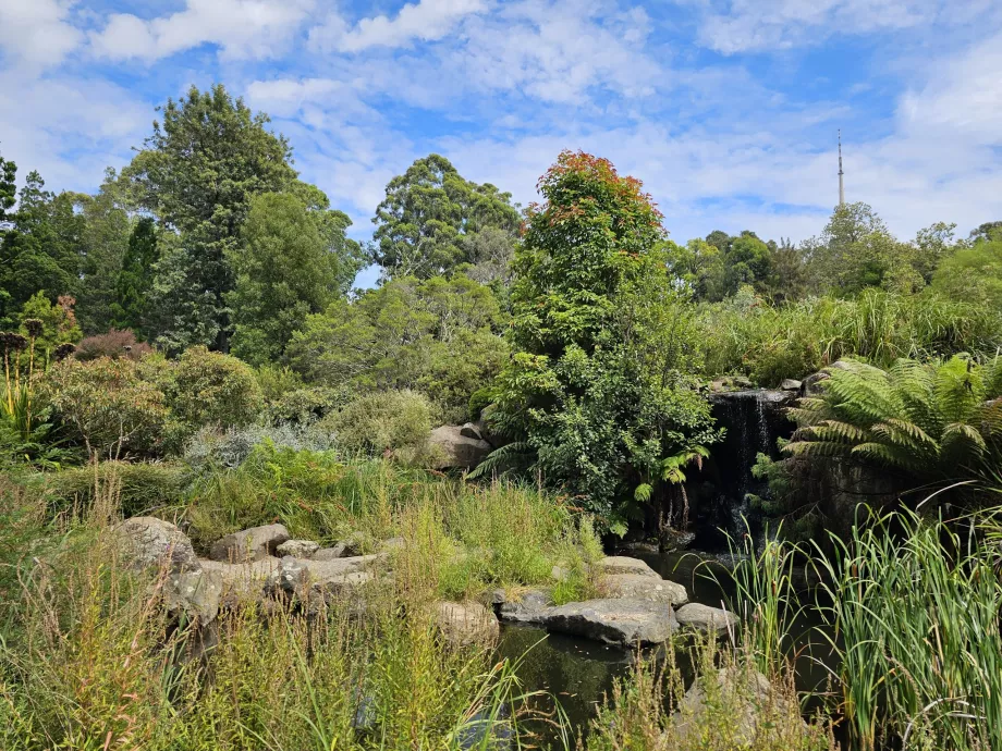 Jardim botânico