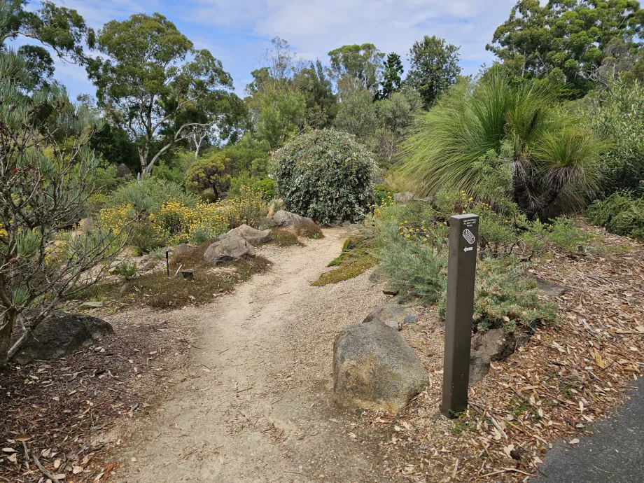 Jardim botânico
