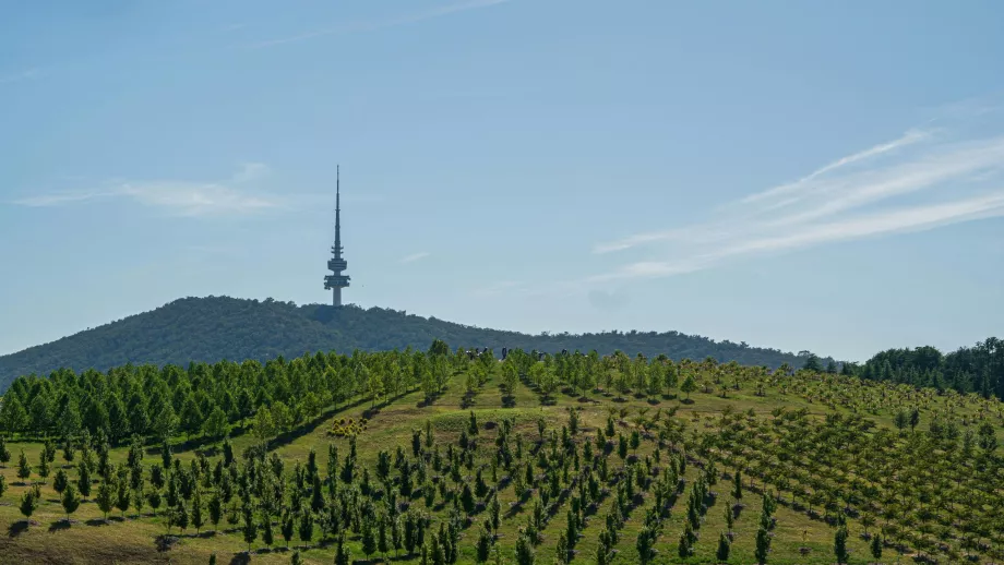 Arboreto Nacional