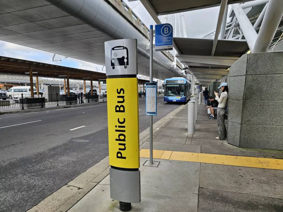 Paragem de autocarro da cidade, Terminal 3