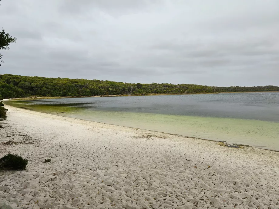 Lago Martha Lavinia