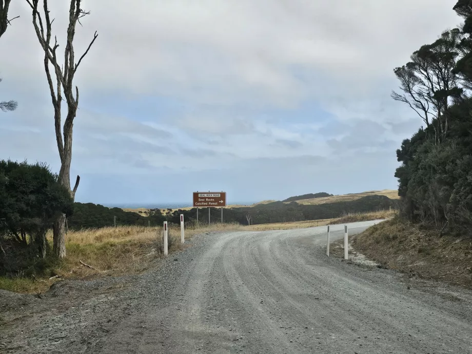 Estrada para o extremo sul da ilha