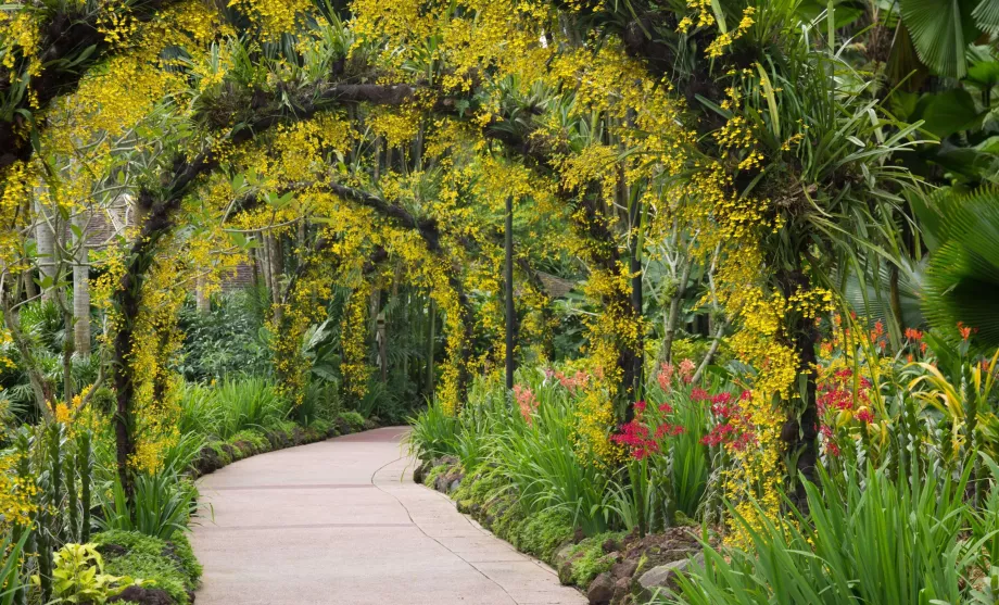 Jardim Botânico de Singapura