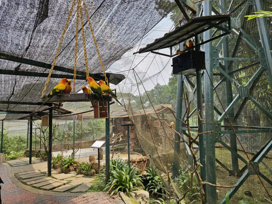 Parque das aves