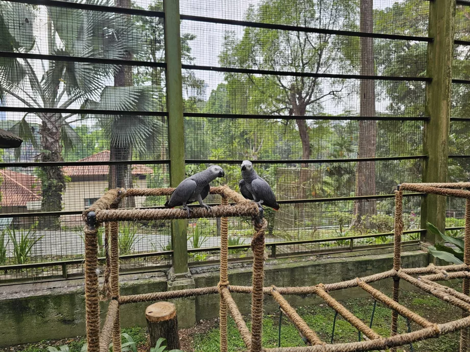 Parque das aves