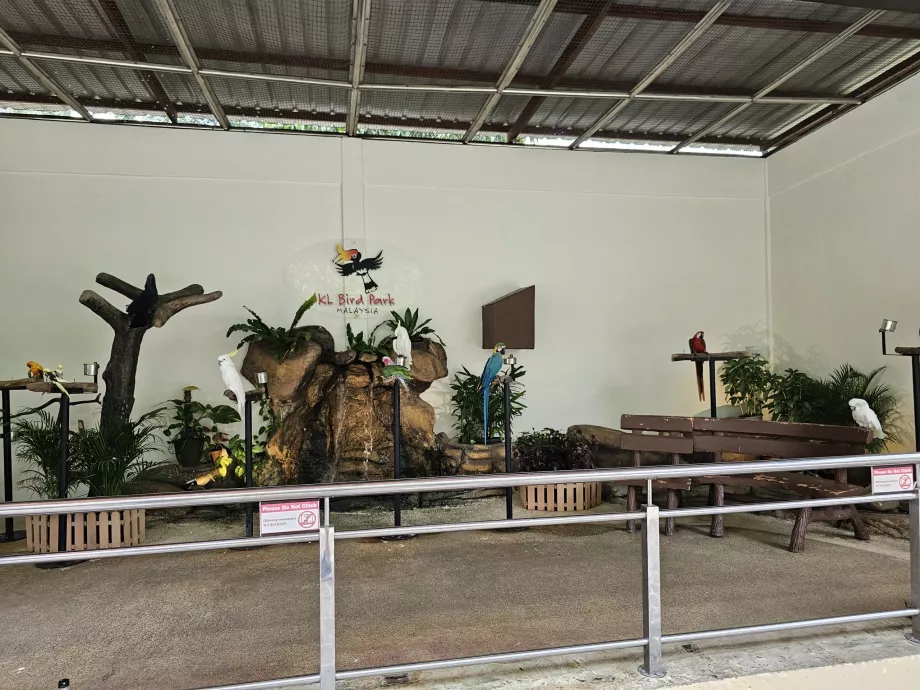 Parque das aves