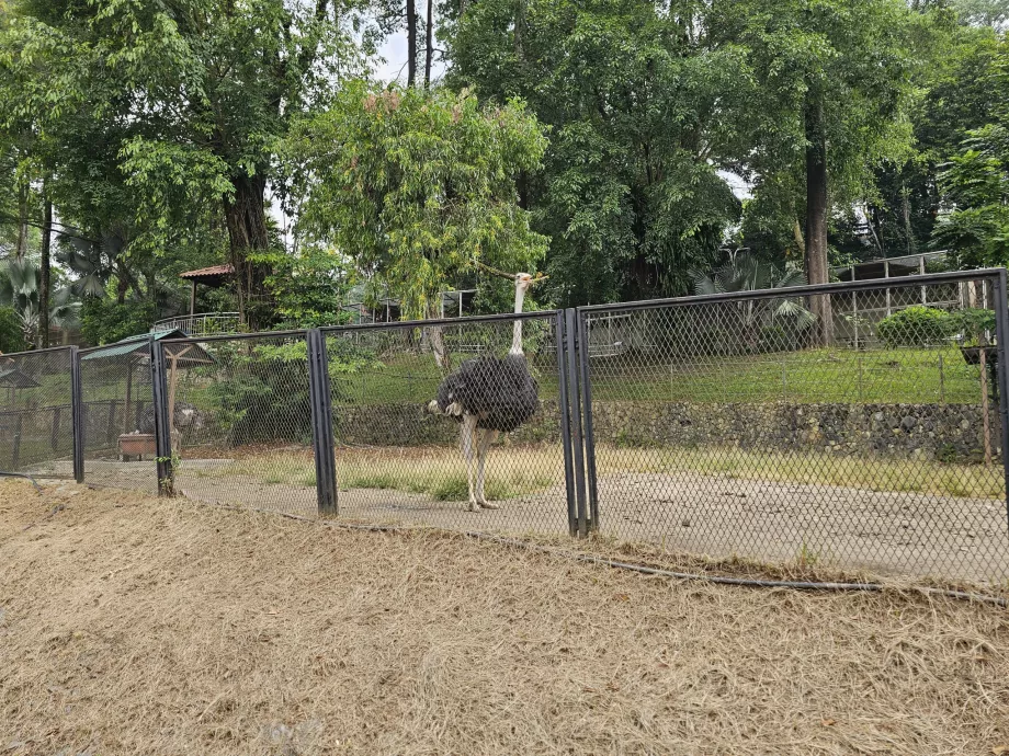 Parque das aves
