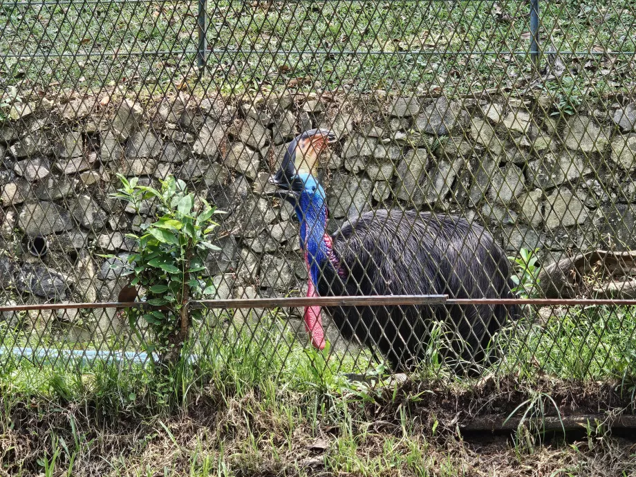 Parque das aves