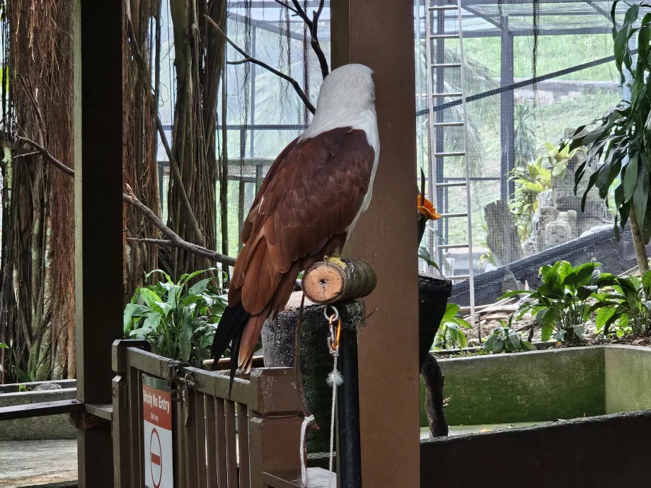 Parque das aves