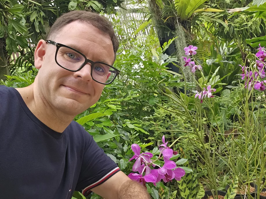 Jardim de orquídeas