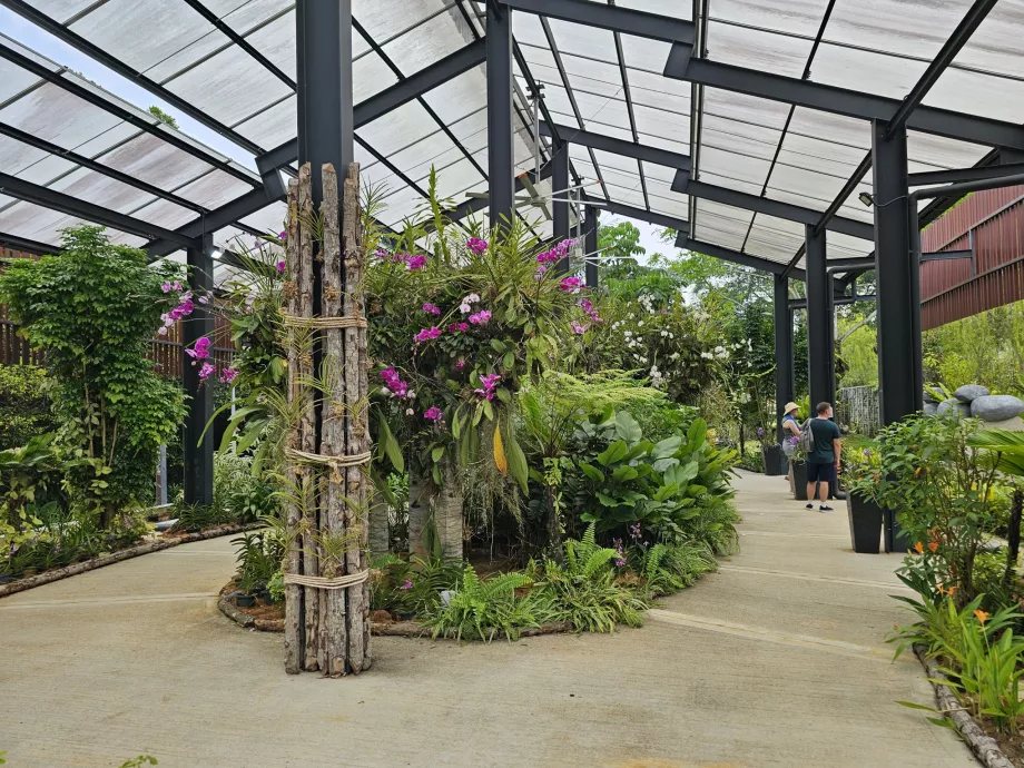 Jardim de orquídeas