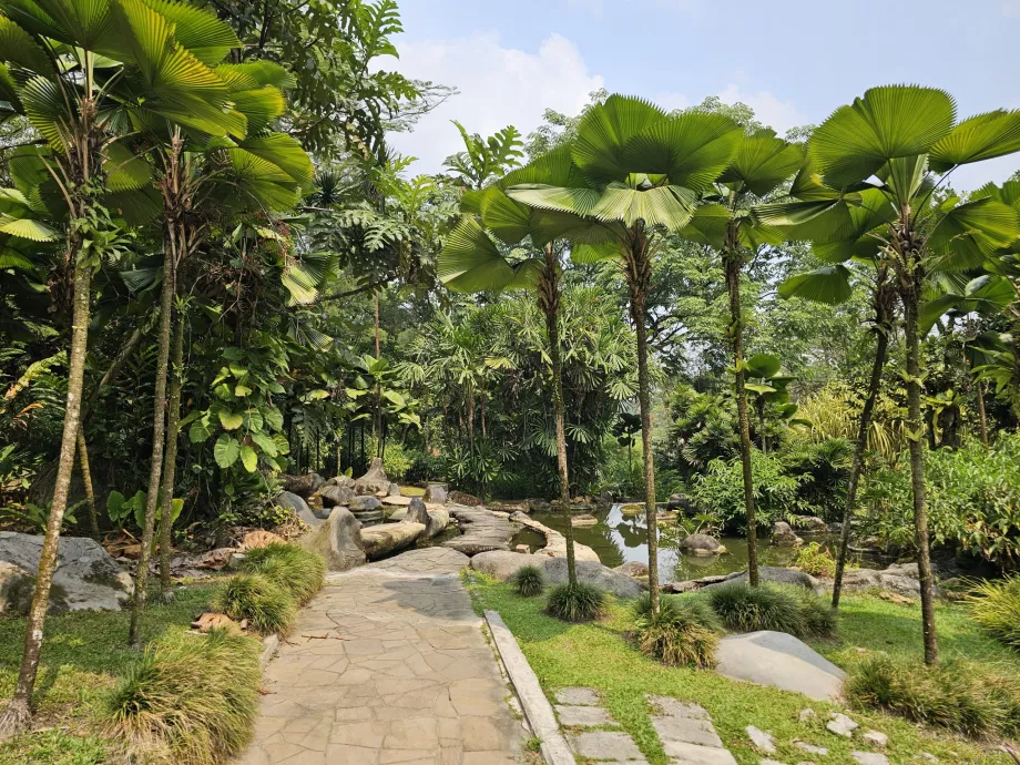 Jardim botânico