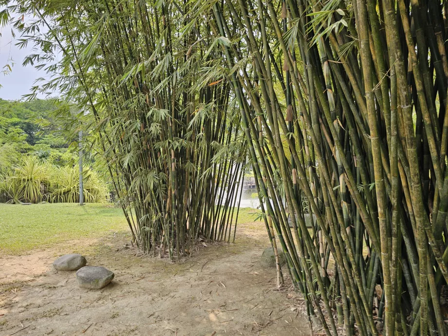 Jardim botânico