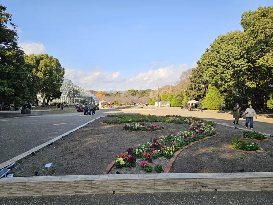 Jardim Botânico de Quioto