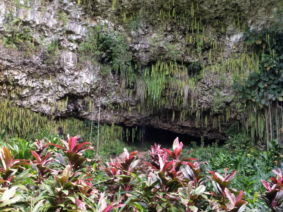 Gruta dos fetos