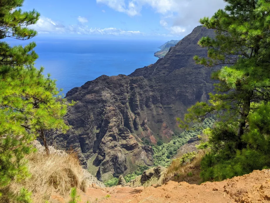 Vista de Kauai