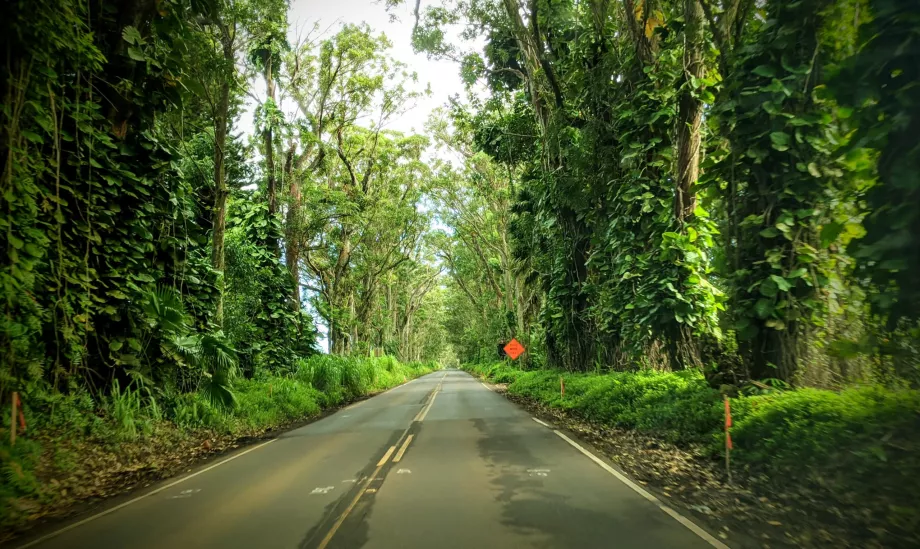 Estrada de Kauai