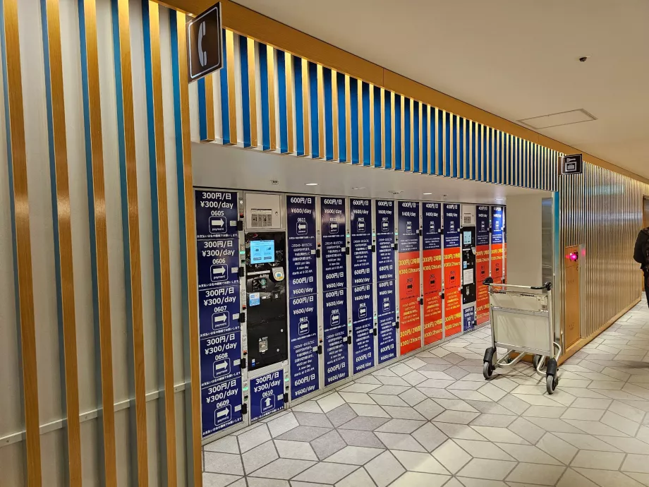 Cacifos para guardar a bagagem