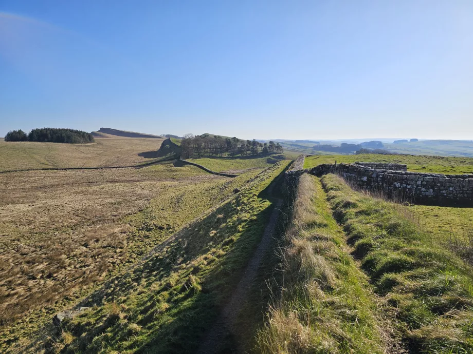 Forte Romano de Housesteads