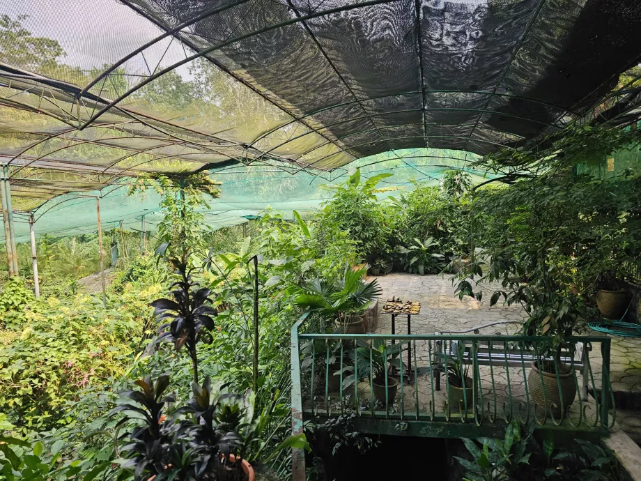 Parque das Borboletas