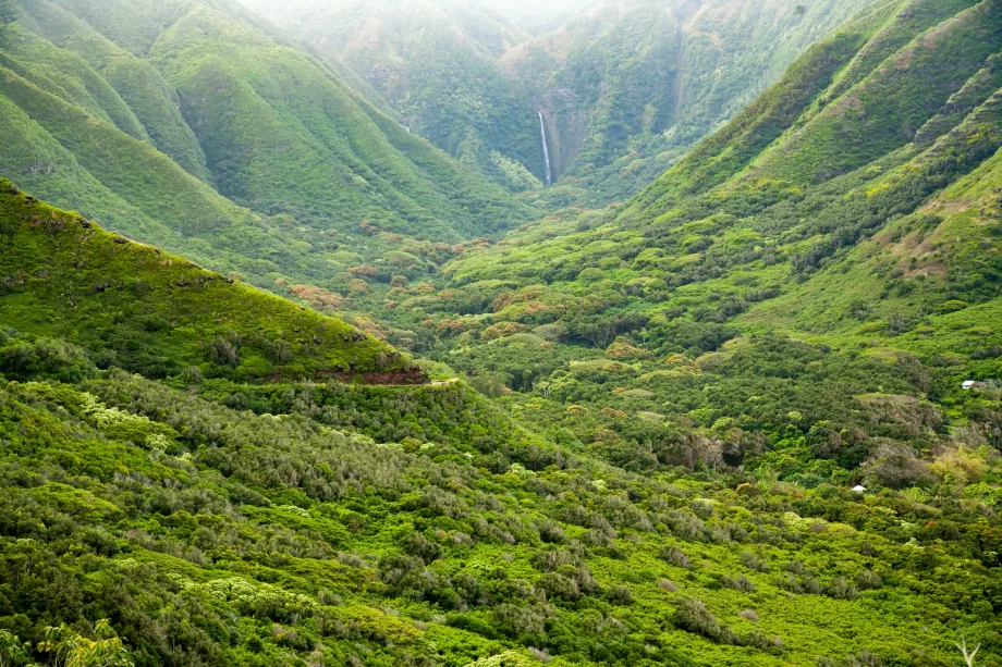 Vale de Halawa