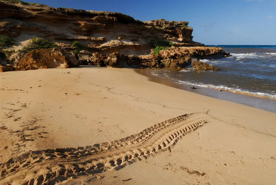 Praia de Moomomi