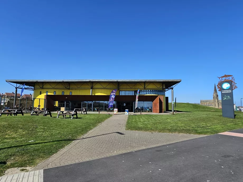 Aquário de Tynemouth