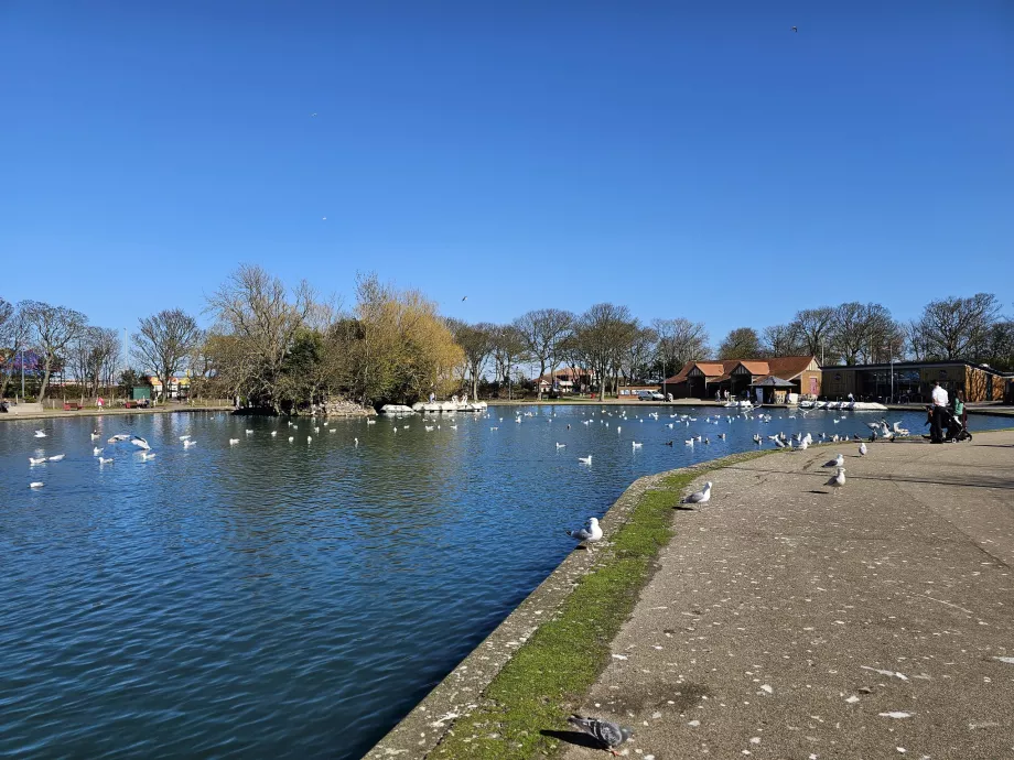 Lago de iates
