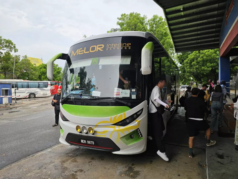 Melor Interline, autocarro