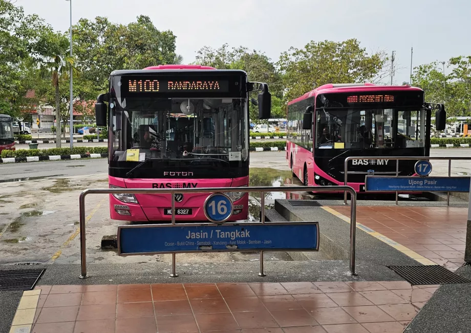 Autocarro 100 da estação de autocarros para o centro